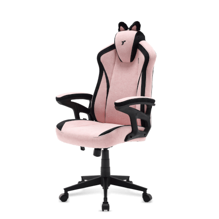 เก้าอี้เกมมิ่ง TTRacing Duo V4 ผ้า KittyPuff Edition_3